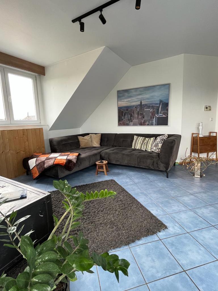 Apartment Zum Schoenen Ausblick Weissenthurm